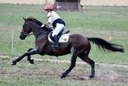altensteig-2015_cic1-073