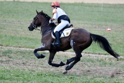 altensteig-2015_cic1-074