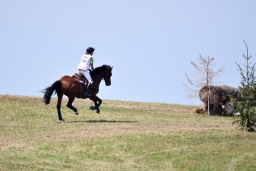 altensteig-2015_cic1-103
