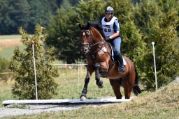 altensteig-2015_cic1-122