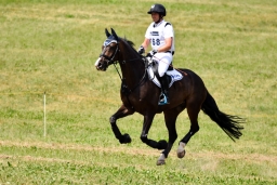 altensteig-2015_cic1-131