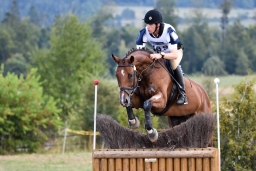 altensteig-2015_cic1-140