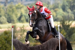 altensteig-2015_cic1-145