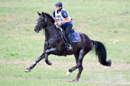 altensteig-2015_cic1-146
