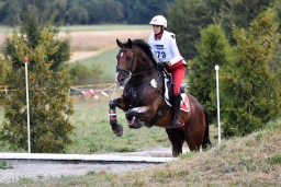 altensteig-2015_cic1-160