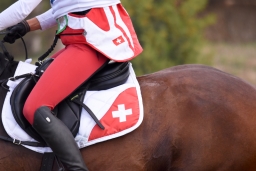 altensteig-2015_cic1-161
