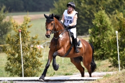 altensteig-2015_cic1-171