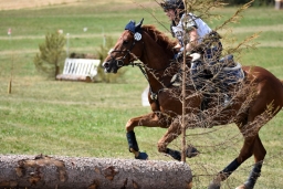 altensteig-2015_cic1-177