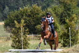 altensteig-2015_cic1-179