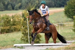 altensteig-2015_cic1-230
