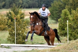 altensteig-2015_cic1-233