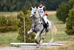 altensteig-2015_cic1-237