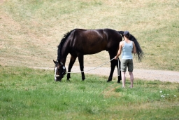 altensteig-2015_cic1-246
