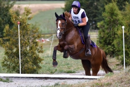 altensteig-2015_cic1-254