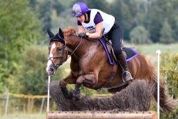 altensteig-2015_cic1-255
