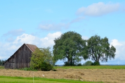 altensteig-2014_va-018-jpg