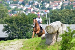 altensteig-2014_va-055-jpg