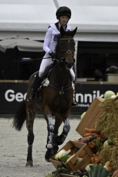 boekelo-2017-cross-country-020-jpg