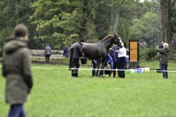 boekelo-2017-cross-country-031-jpg