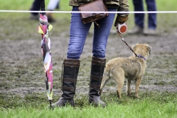 boekelo-2017-cross-country-032-jpg