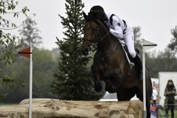 boekelo-2017-cross-country-139-jpg