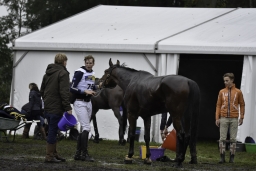 boekelo-2017-cross-country-174