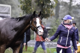 boekelo-2017-cross-country-175