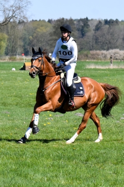 2025-04-luhmuehlen-intro-froschi-lars-001-17