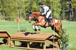 2025-04-luhmuehlen-intro-froschi-lars-001-19