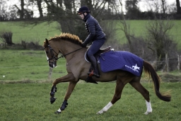 elmenhorst-training-feb-2020-139
