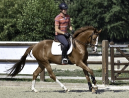 porschi-09-2018-001