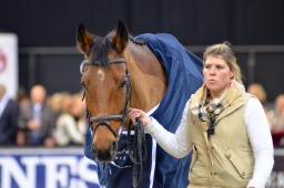 stuttgart-2013_german-masters-014-jpg