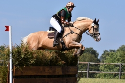 hambach-2015_cic1-001-jpg