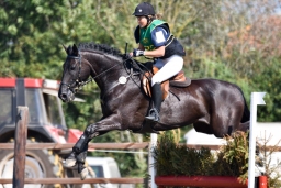 hambach-2015_cic1-002-jpg