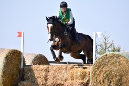 hambach-2015_cic1-004-jpg