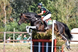 hambach-2015_cic1-007-jpg