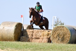 hambach-2015_cic1-008-jpg