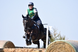 hambach-2015_cic1-009-jpg