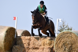 hambach-2015_cic1-011-jpg