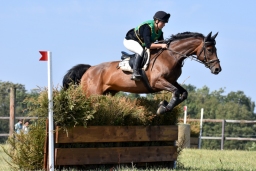 hambach-2015_cic1-013-jpg