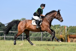 hambach-2015_cic1-014-jpg