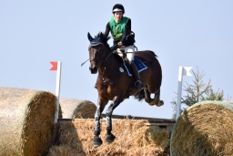 hambach-2015_cic1-016-jpg