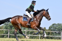 hambach-2015_cic1-018-jpg