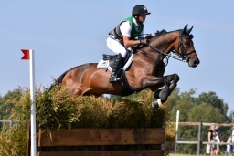 hambach-2015_cic1-022-jpg