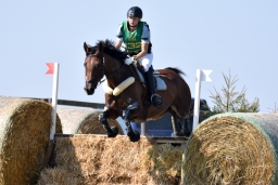 hambach-2015_cic1-025-jpg