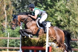 hambach-2015_cic1-027-jpg