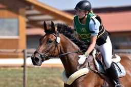 hambach-2015_cic1-030-jpg