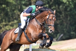 hambach-2015_cic1-033-jpg