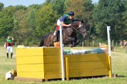 hambach-2015_cic1-044-jpg