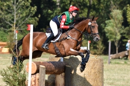 hambach-2015_cic1-046